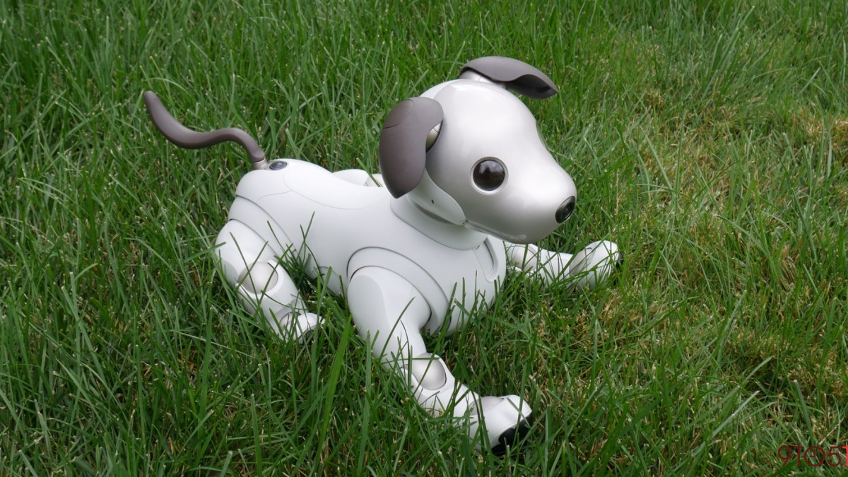 Sony aibo