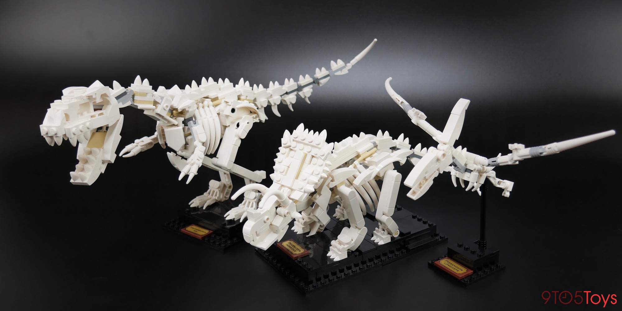 LEGO Dinosaur Fossils review