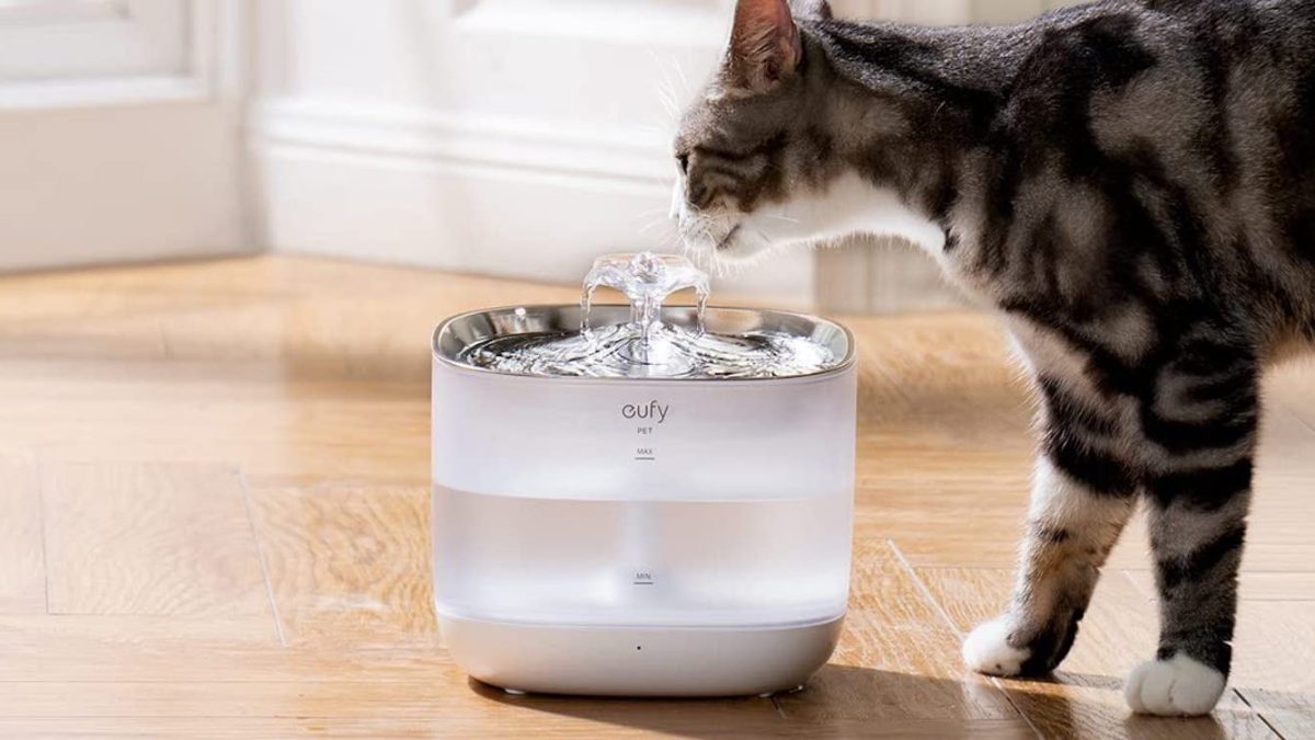 Anker Eufy Pet Water Fountain