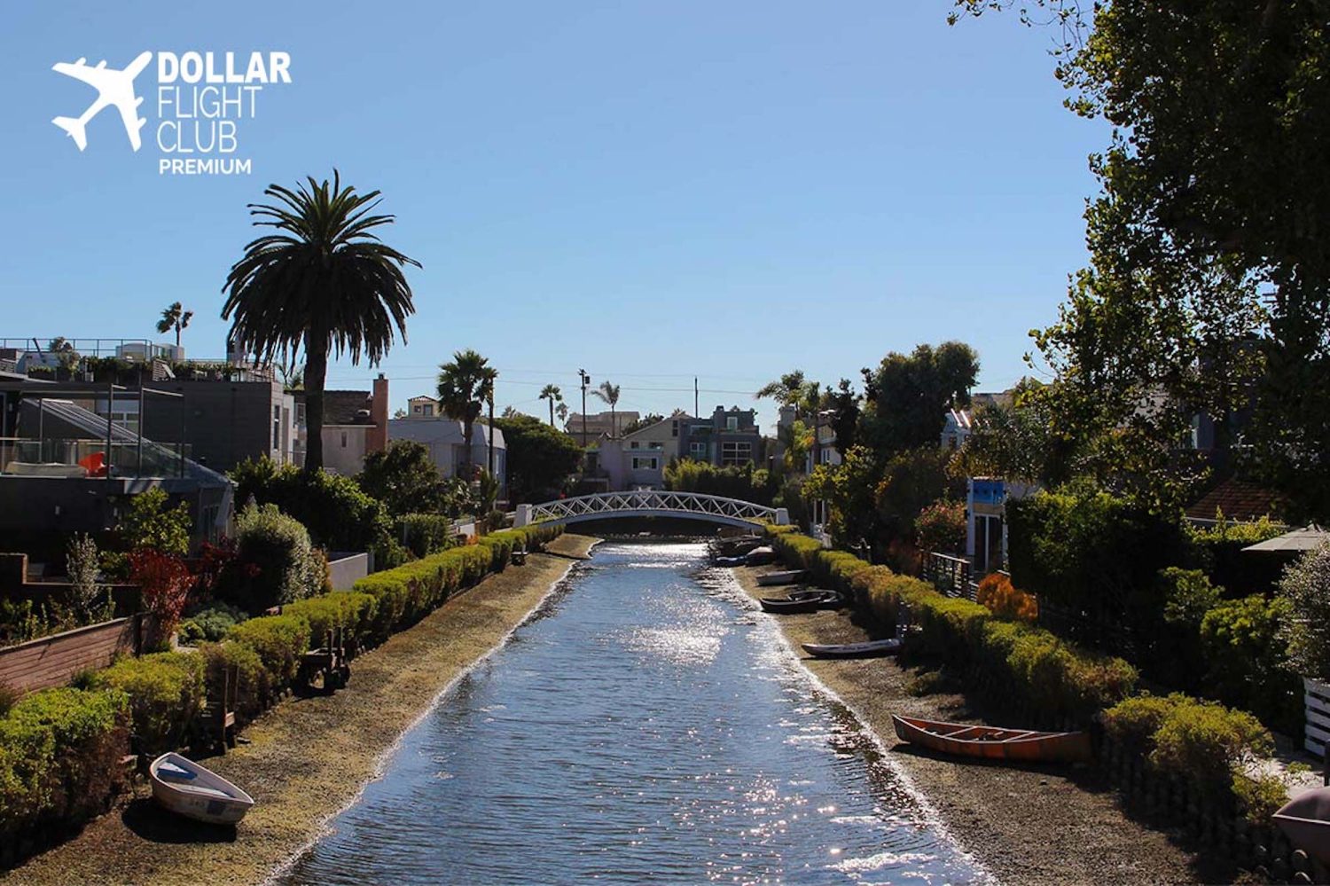 a group of palm trees on the side of the road