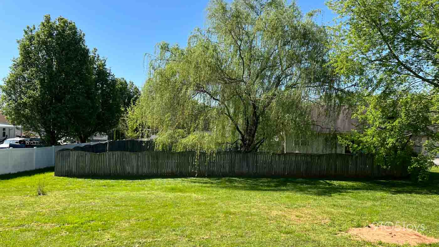 a tree in the middle of a lush green field