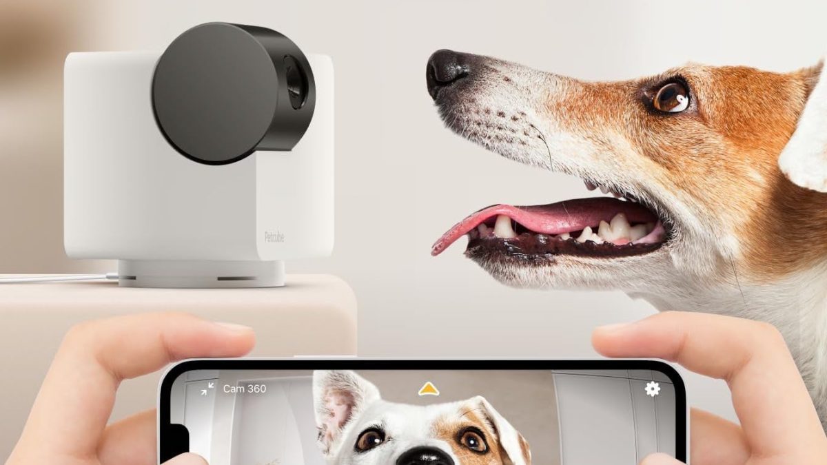 Petcube Cam 360