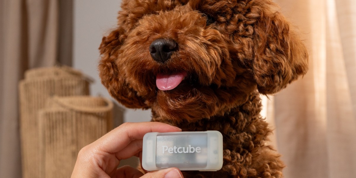 Petcube-pet GPS Tracker