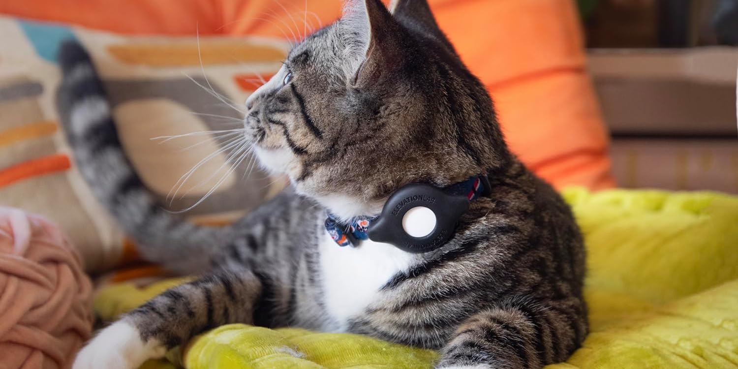 AirTag Cat Collar Mount