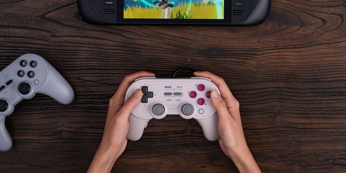 Image showing a person holding 8Bitdo's Pro 2 wired controller.