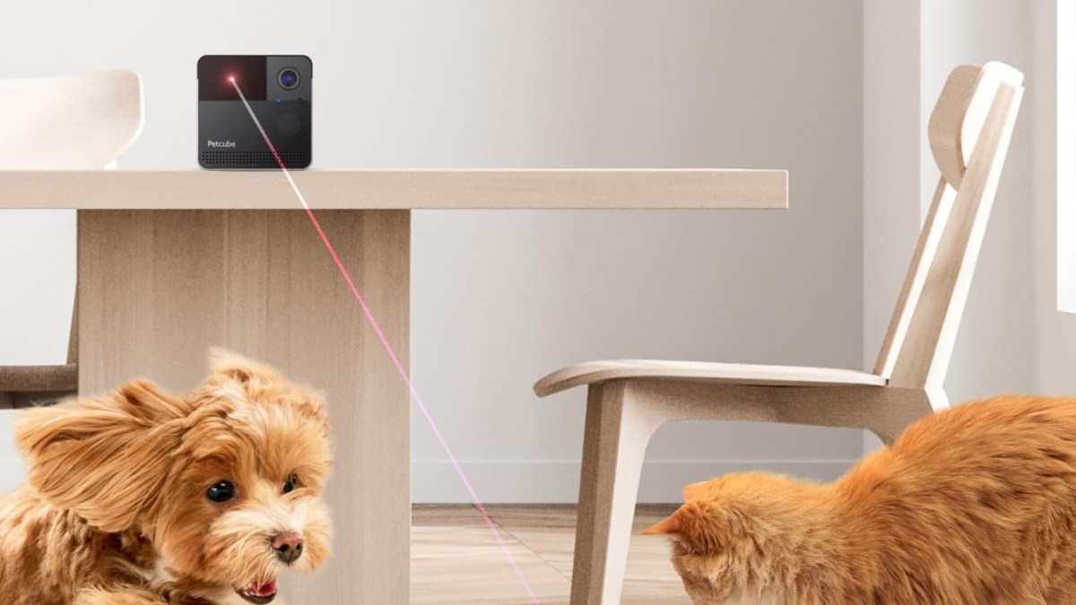 Petcube Play 2 Wi-Fi Pet Camera