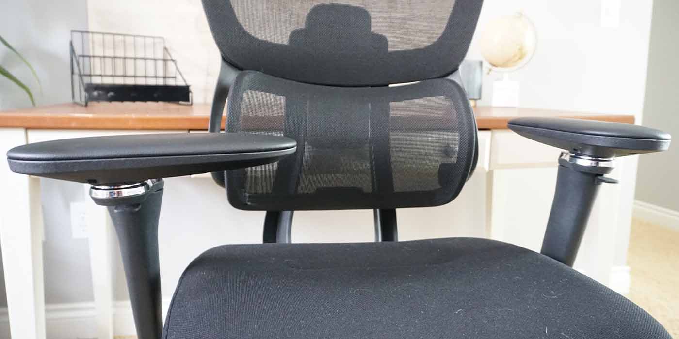 Flexispot Desk Chair