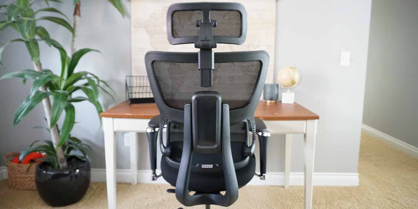 Flexispot Desk Chair