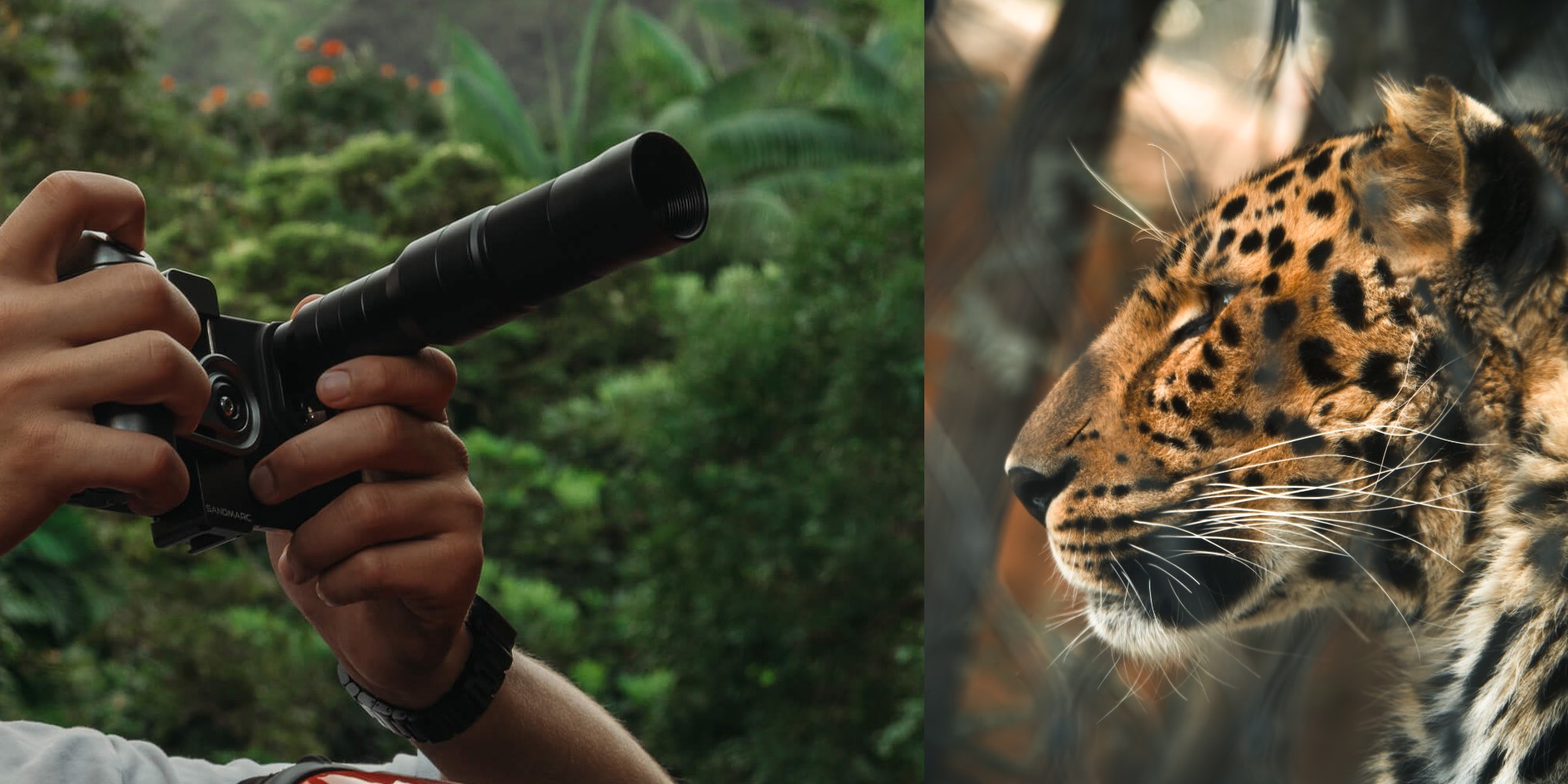 A person holding a telescope and looking at a tiger