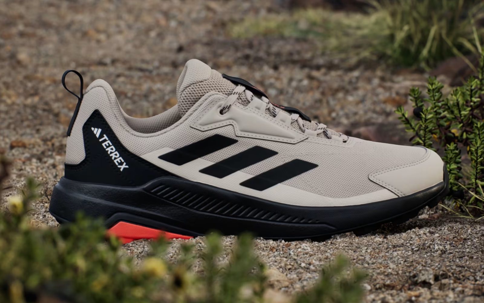 A close up of a shoe