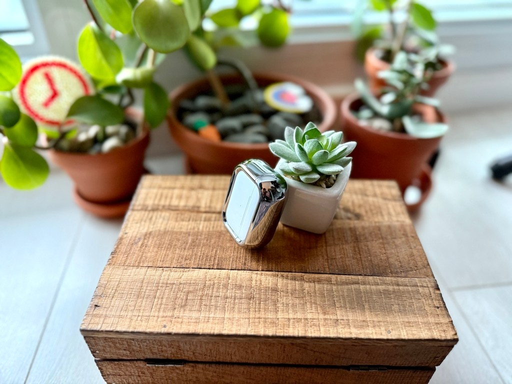 A small plant on a wooden box