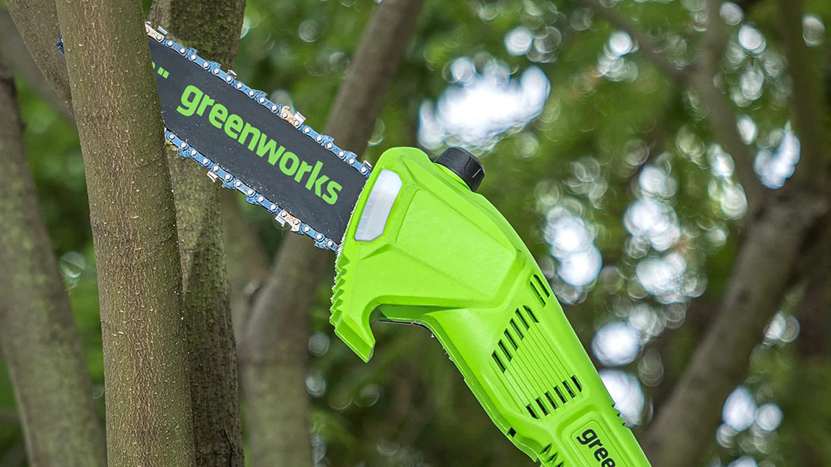 A green electric saw in a tree