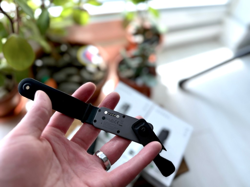 A hand holding a small black knife