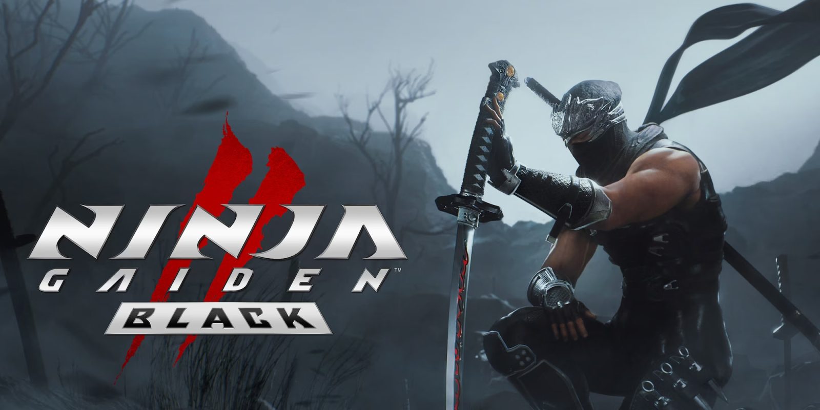 A video game cover with a person holding a sword