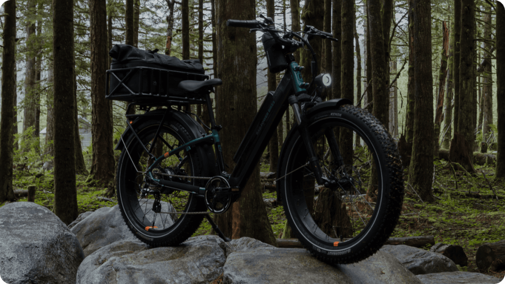 Rad Power Earth Day e-bike sale