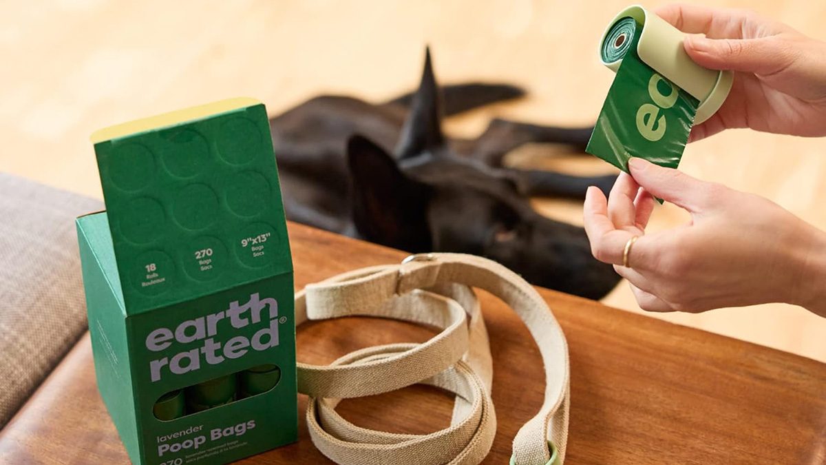 A dog looking at a green carton of dog leash and a green carton of dog