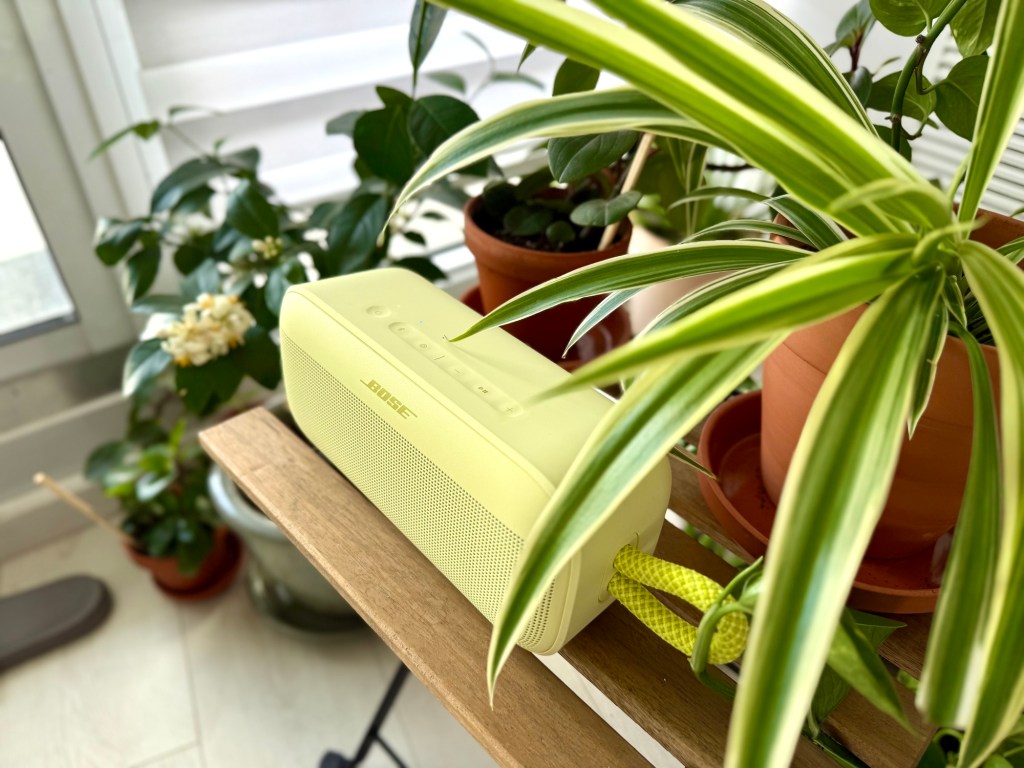 A green speaker on a shelf with potted plants