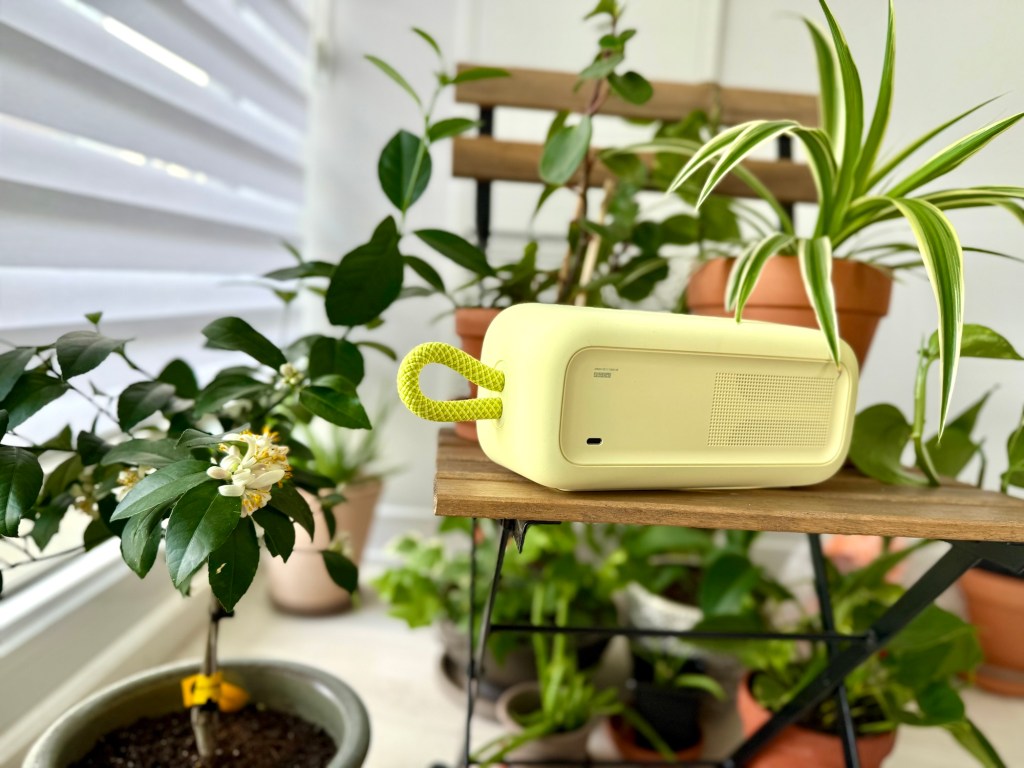 A small yellow speaker on a small table with potted plants