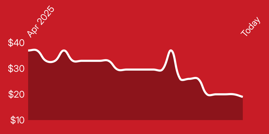 A line of a heartbeat