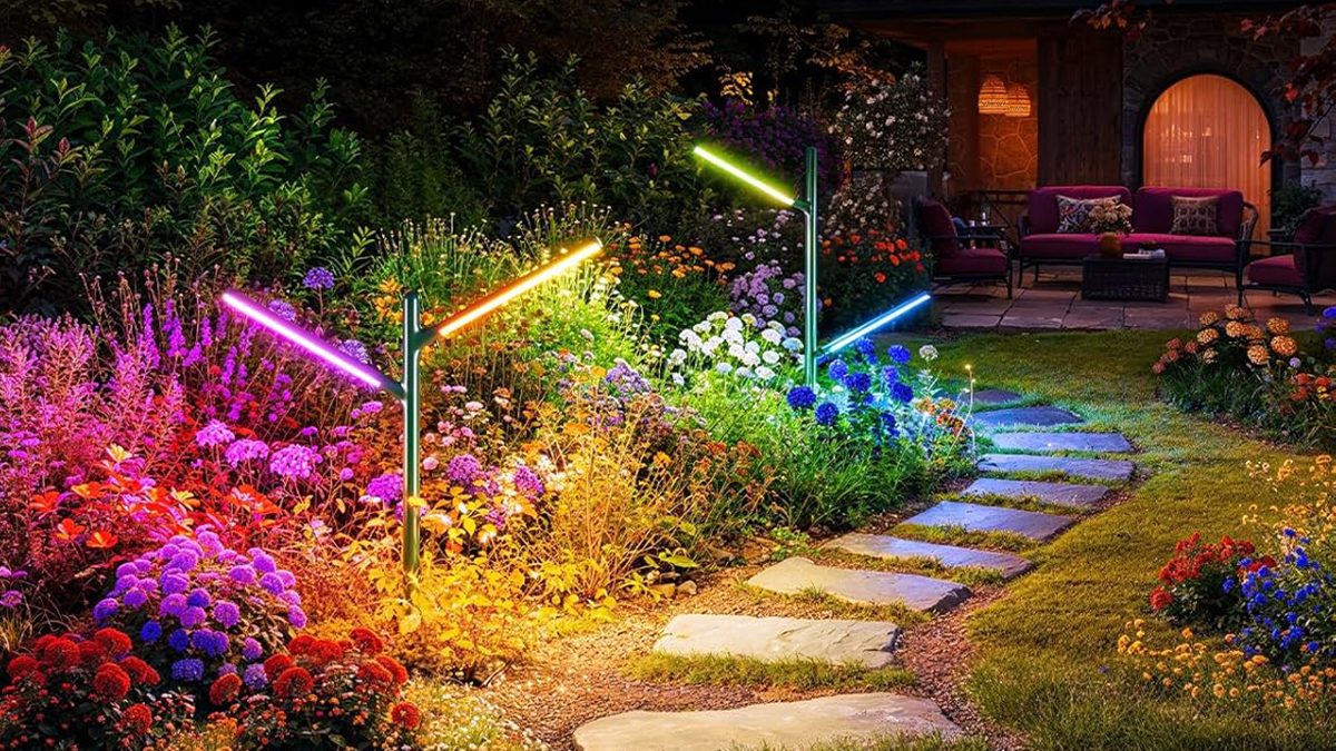 A garden with lights and flowers