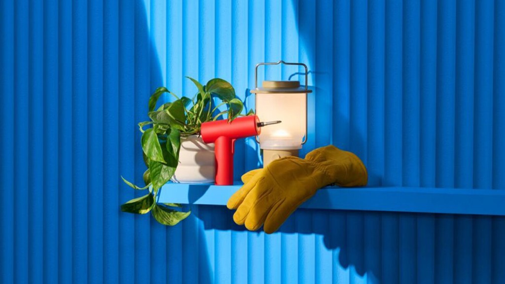 A plant and gloves on a shelf