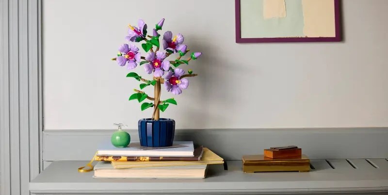 A plant in a pot on top of books