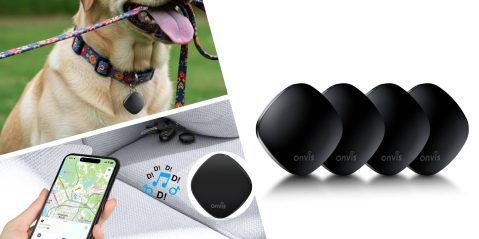 A collage of a dog with a dog collar