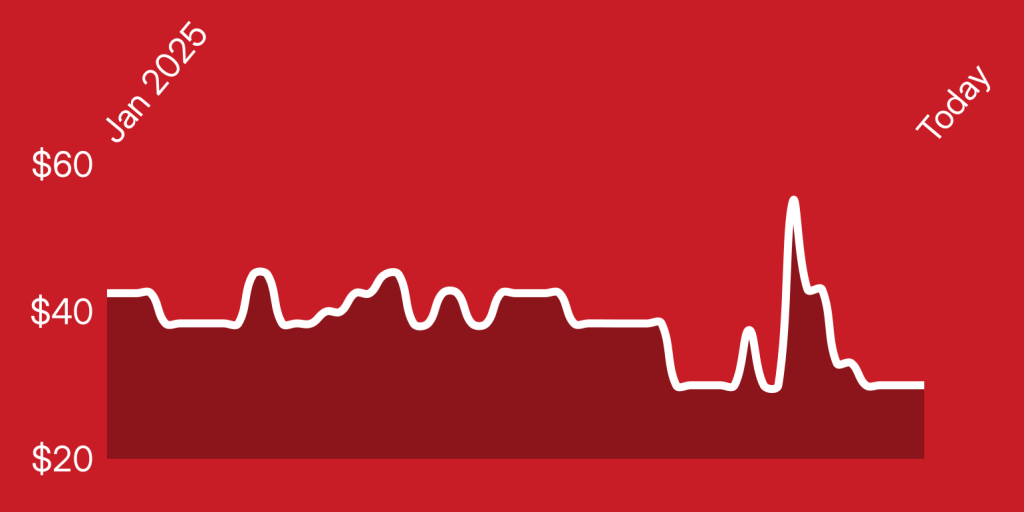 A line of a heartbeat