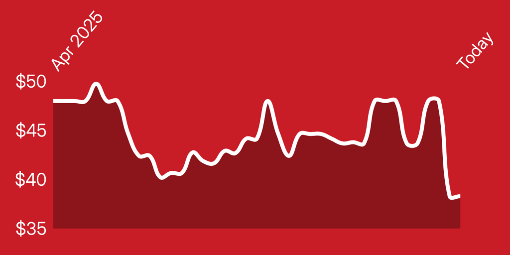 A close up of a pocket knife