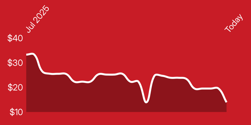 A line of a heart beat