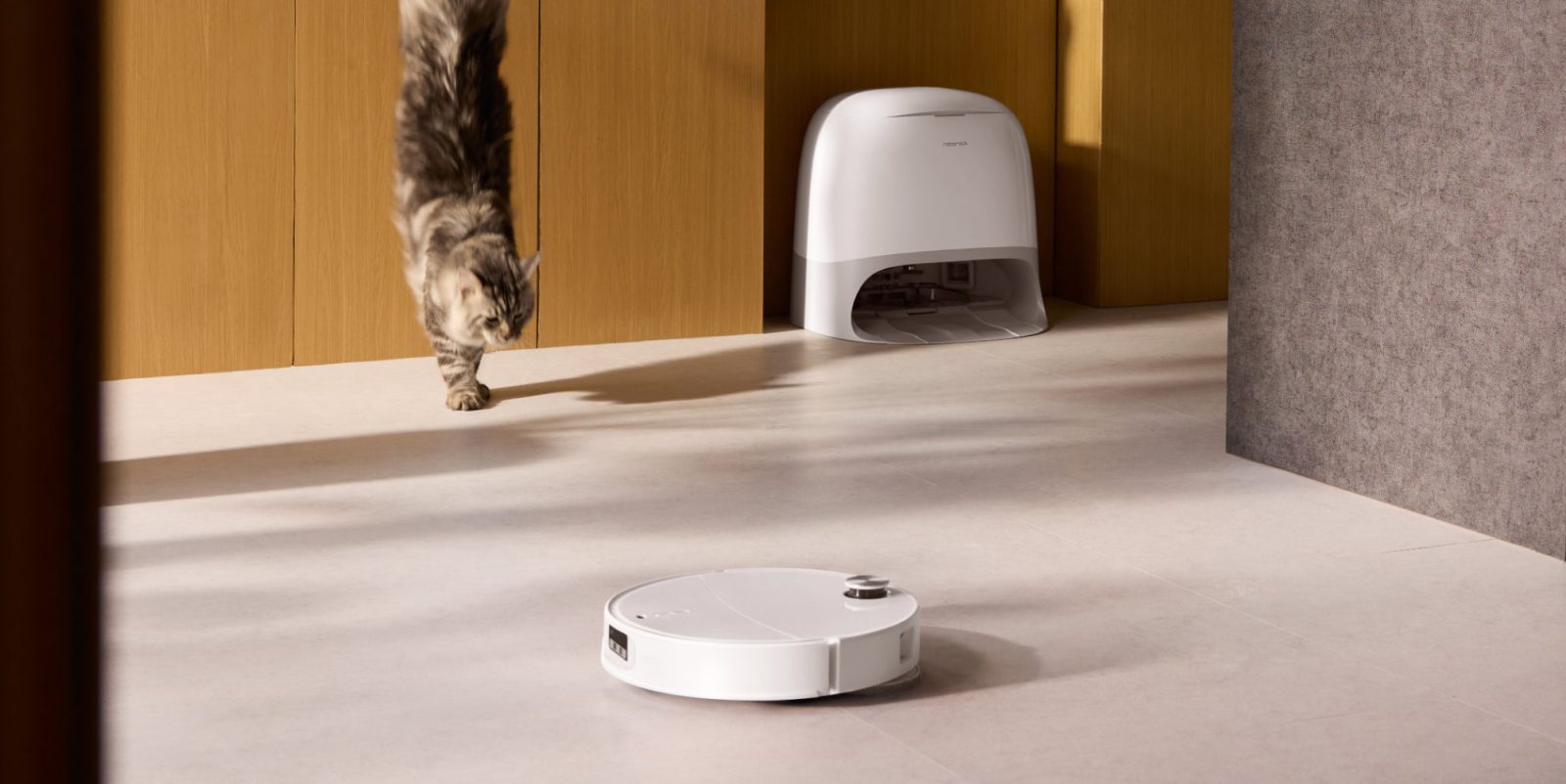 A cat walking on a floor next to a robot vacuum cleaner