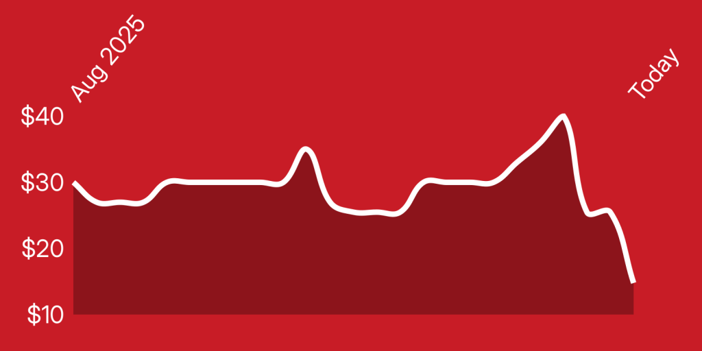 A line of a heartbeat