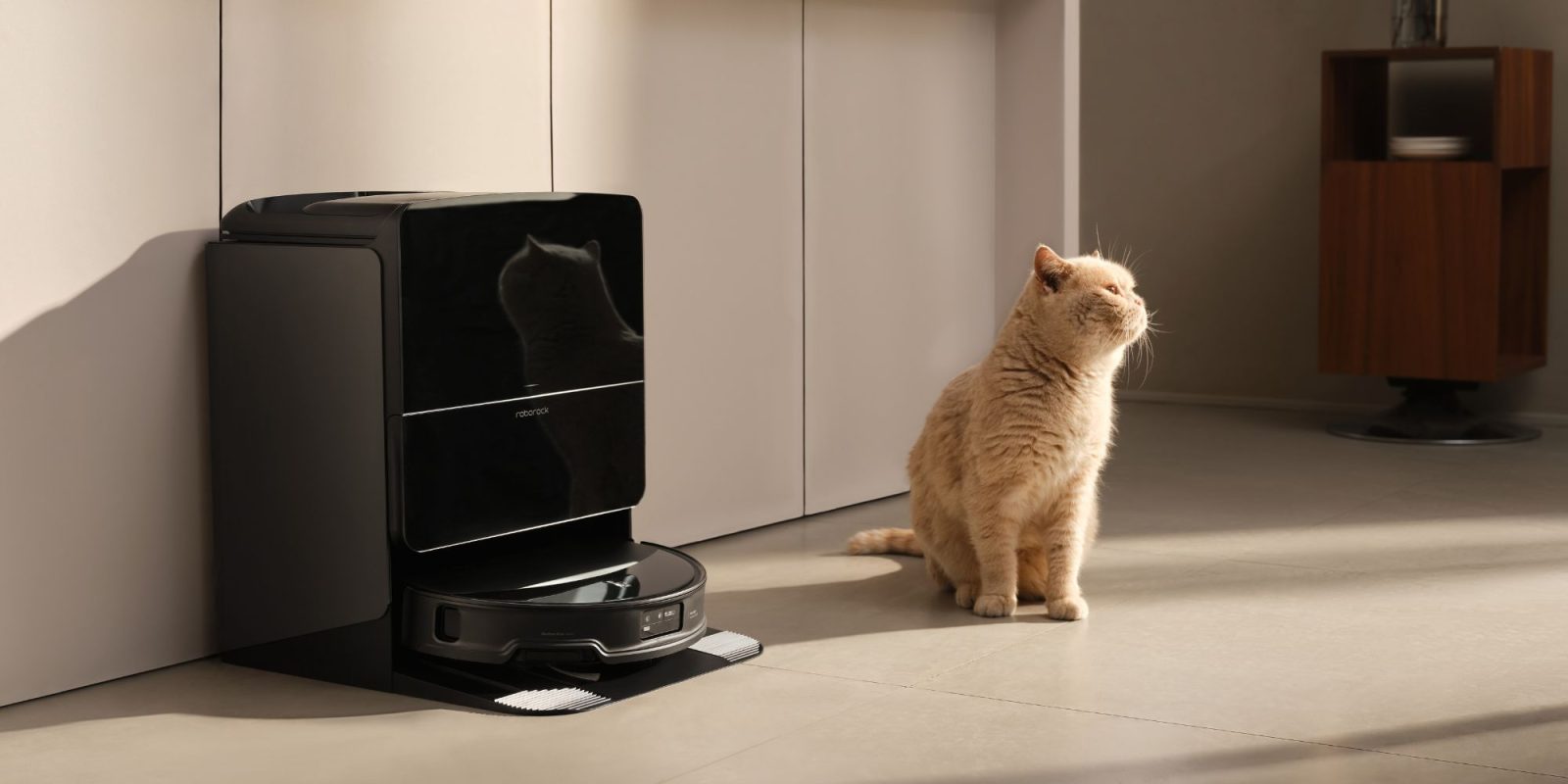 A cat sitting on the floor looking at a robot