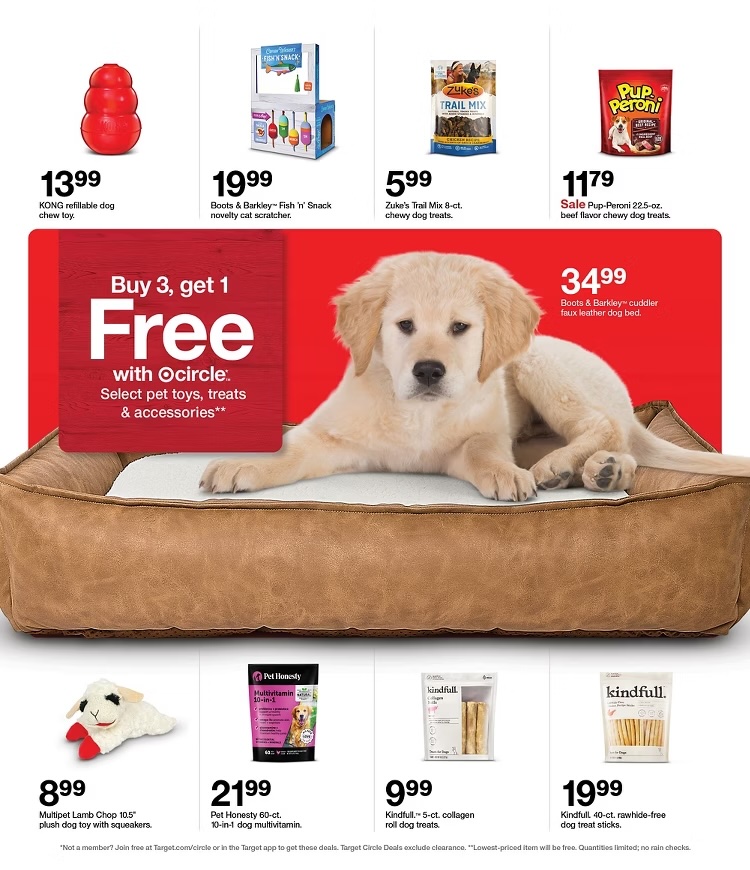 A dog lying on a dog bed