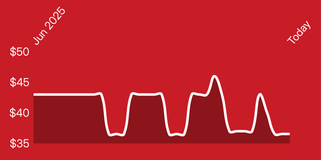 A line drawing of a cat