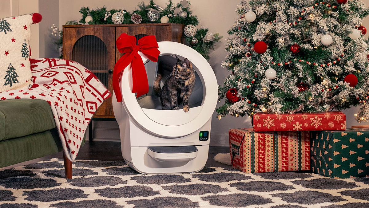 A cat sitting in a washing machine