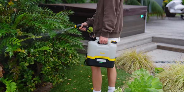 A person spraying plants with a hose