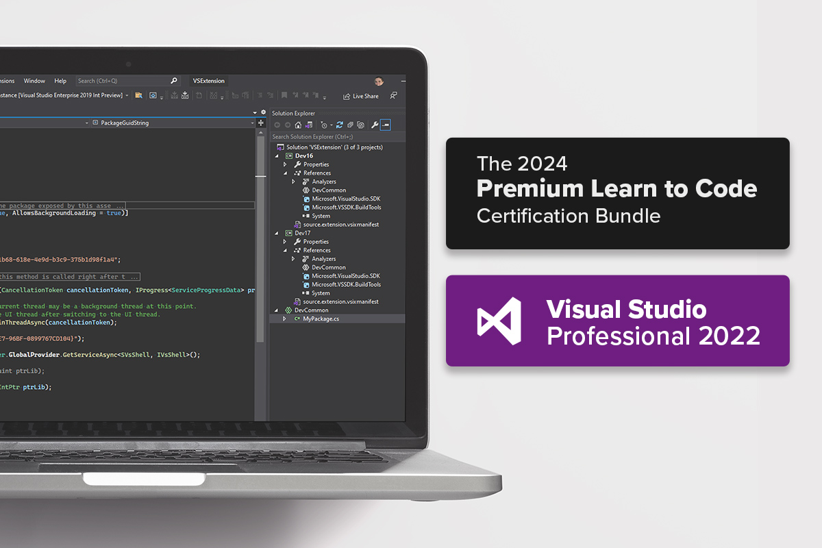 Microsoft Visual Studio Professional 2022