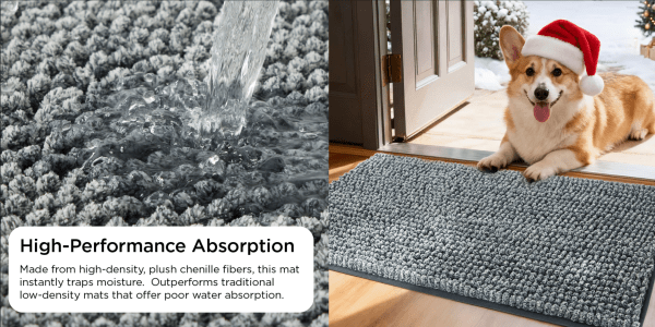 A dog standing on a rug