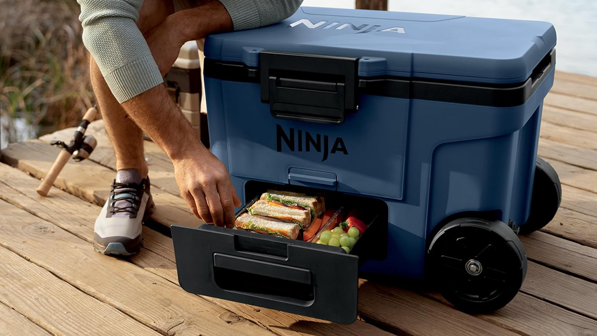 A person putting food in a cooler