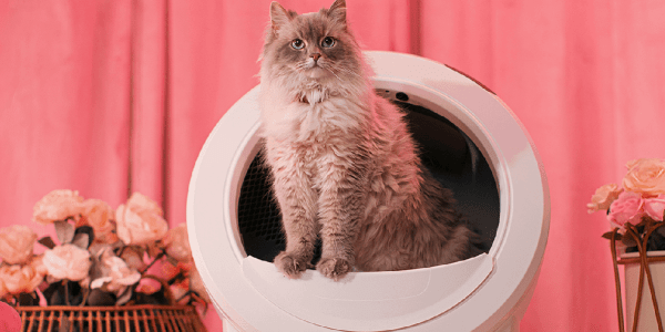 A cat sitting in a trash can