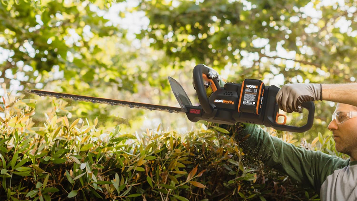 A person holding a chainsaw